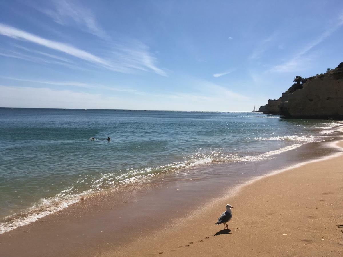 Vila Paderne - Solar Dos Mouros بورش المظهر الخارجي الصورة