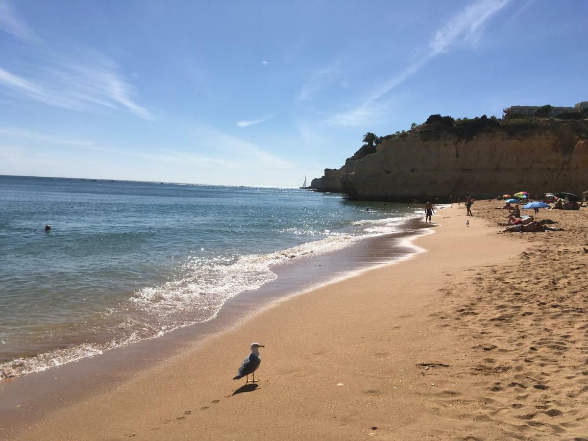 Vila Paderne - Solar Dos Mouros بورش المظهر الخارجي الصورة